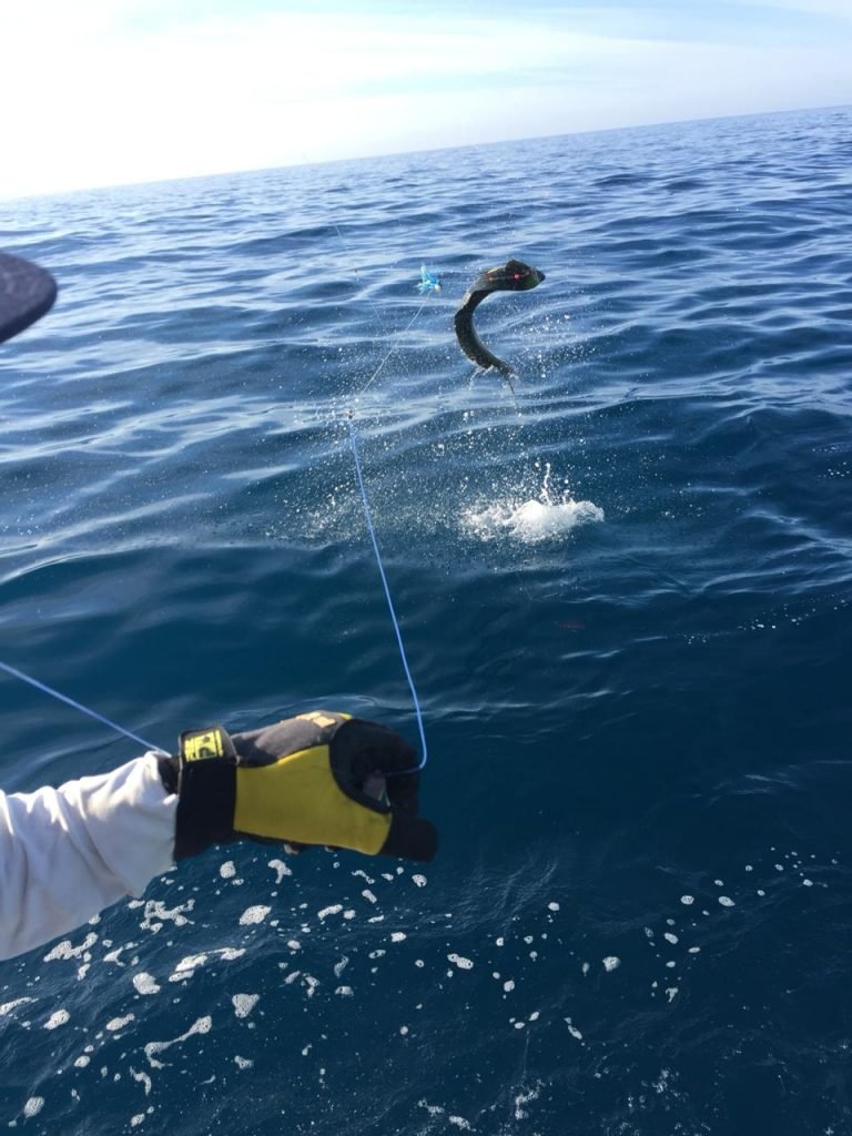 ca33b8c7 2ee0 41cc 8393 3d83907db93c