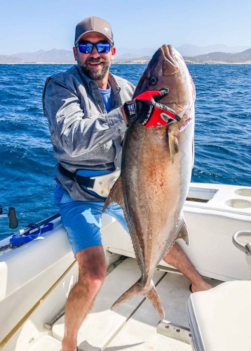 fishing and boats in los cabos r5724zaav8dlqhnoyz9jmqcuzac2ks4y86qq8w5sns